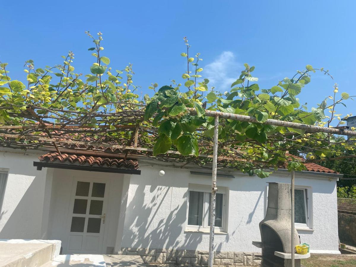 Apartman Nela Lägenhet Poreč Exteriör bild